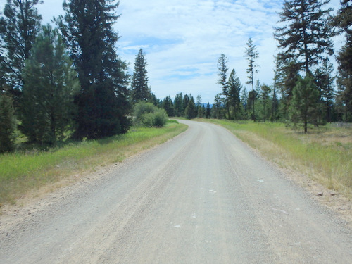 GDMBR: The amounts of trees were thinning and the size.